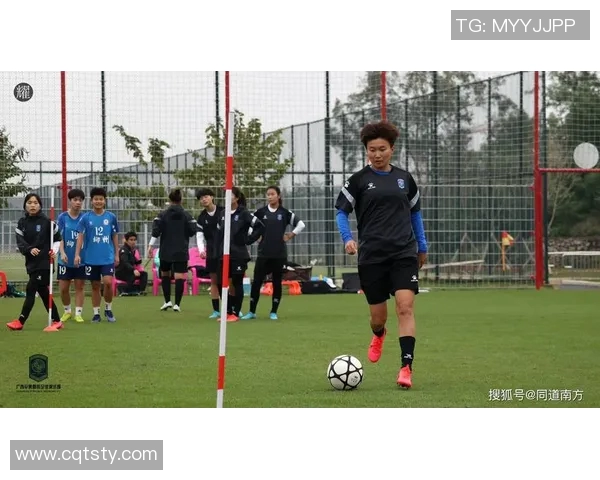 足球明星李华的生平故事与精彩瞬间全景展示